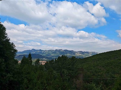 Qingdao Everlasting Auto Parts Co., Ltd. Organized A Team Building Activity C...